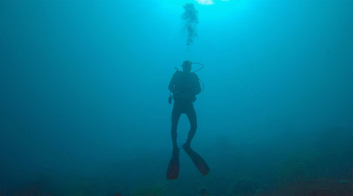 diving man scuba diving in water water