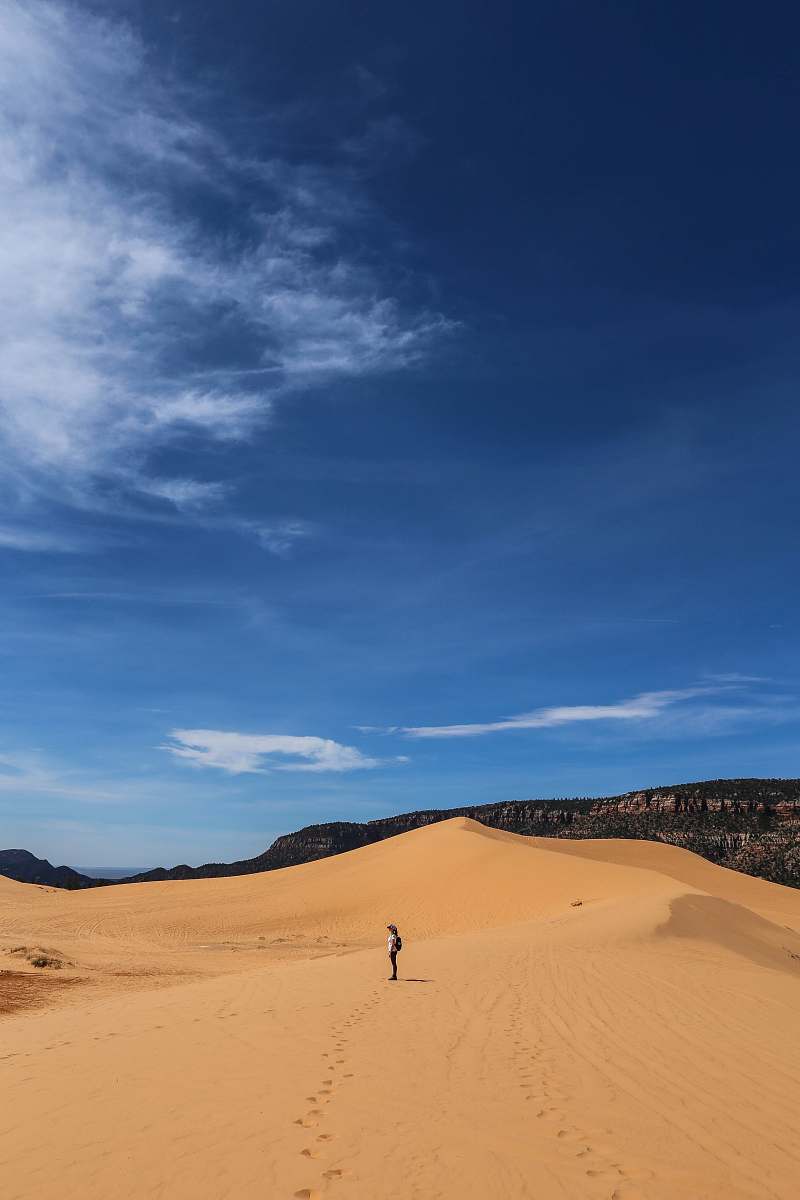 desert man standing on desert dune