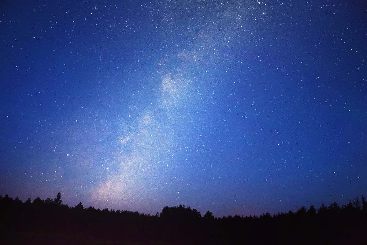 night Milky Way Galaxy above trees photography astronomy