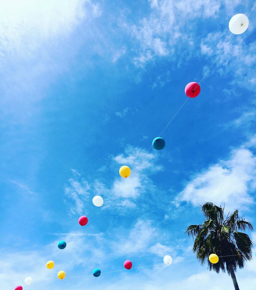 venice multicolored balloon string hanged near tree los angeles