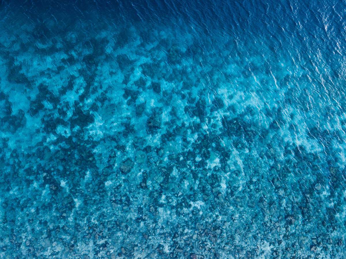 water ocean blue water taken at top angle photo coral