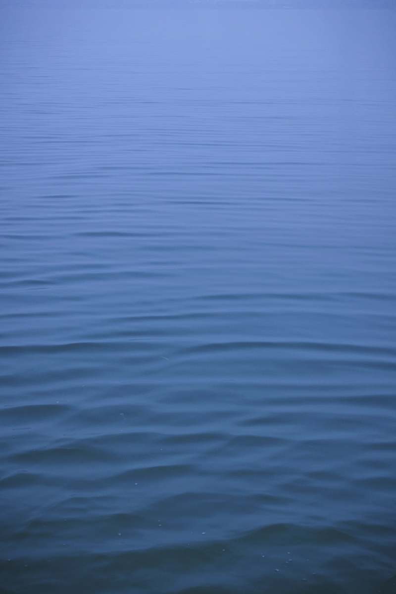 ripple photo of body of water water