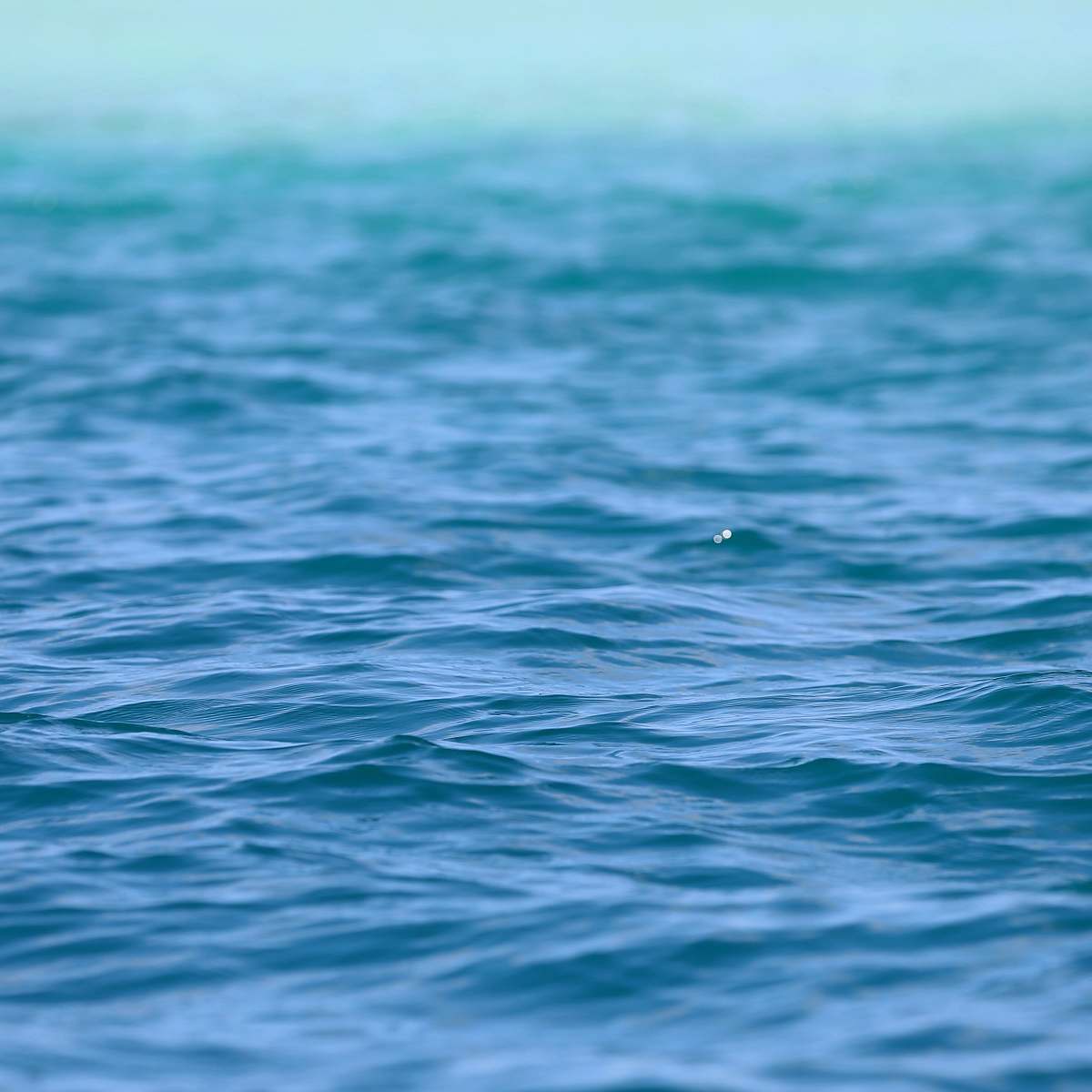 water photo of teal body of water ocean