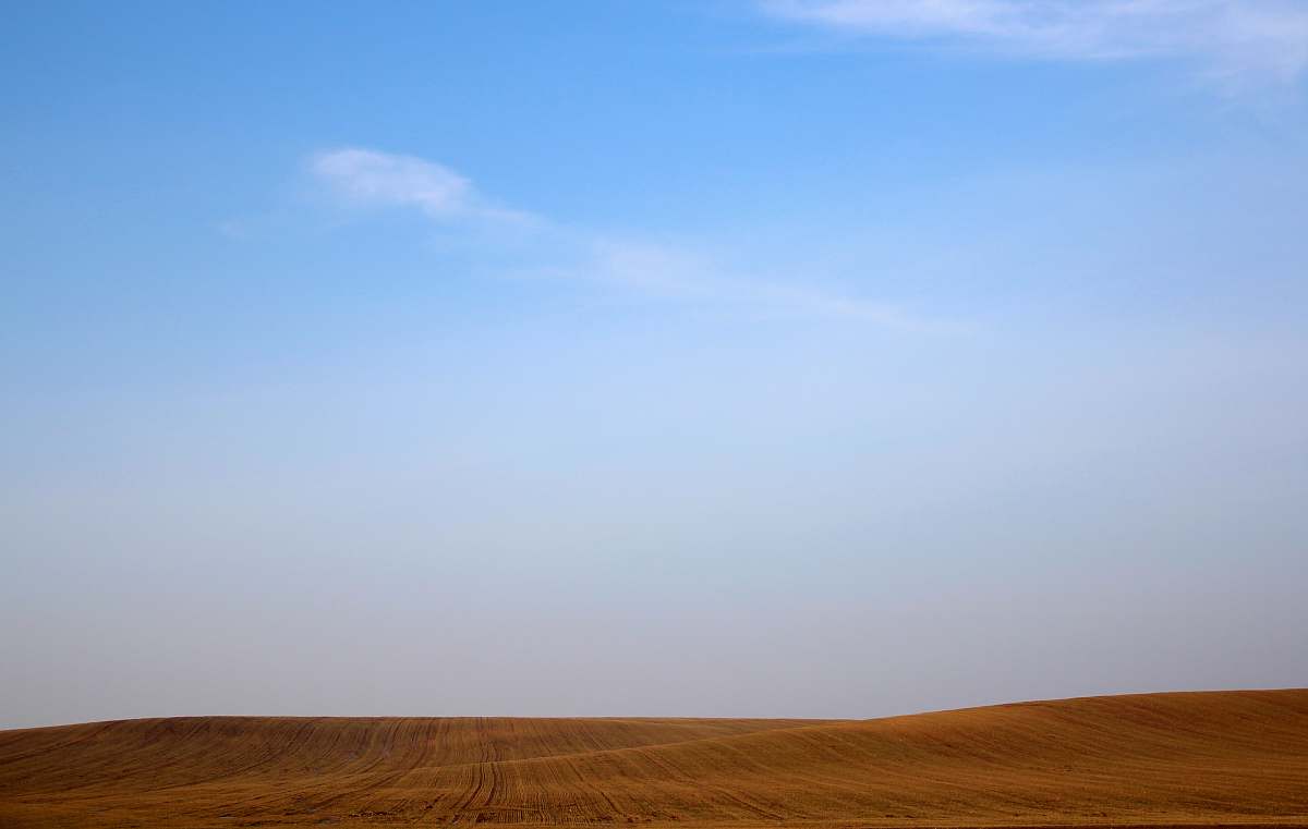 desert sand dunes under clear sky field