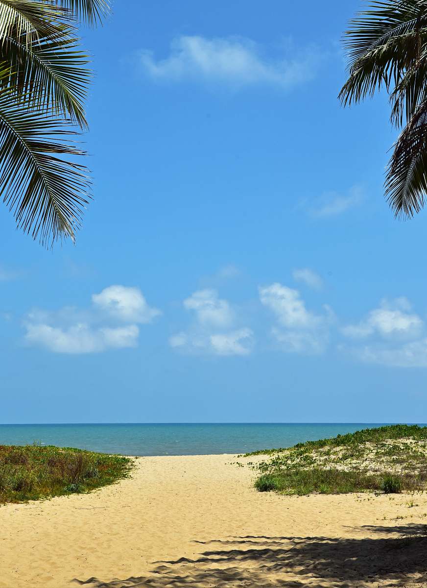 summer sea and palm trees under blue sky tropical