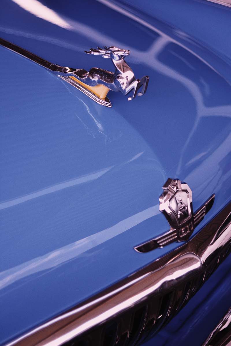 emblem silver car emblem icon