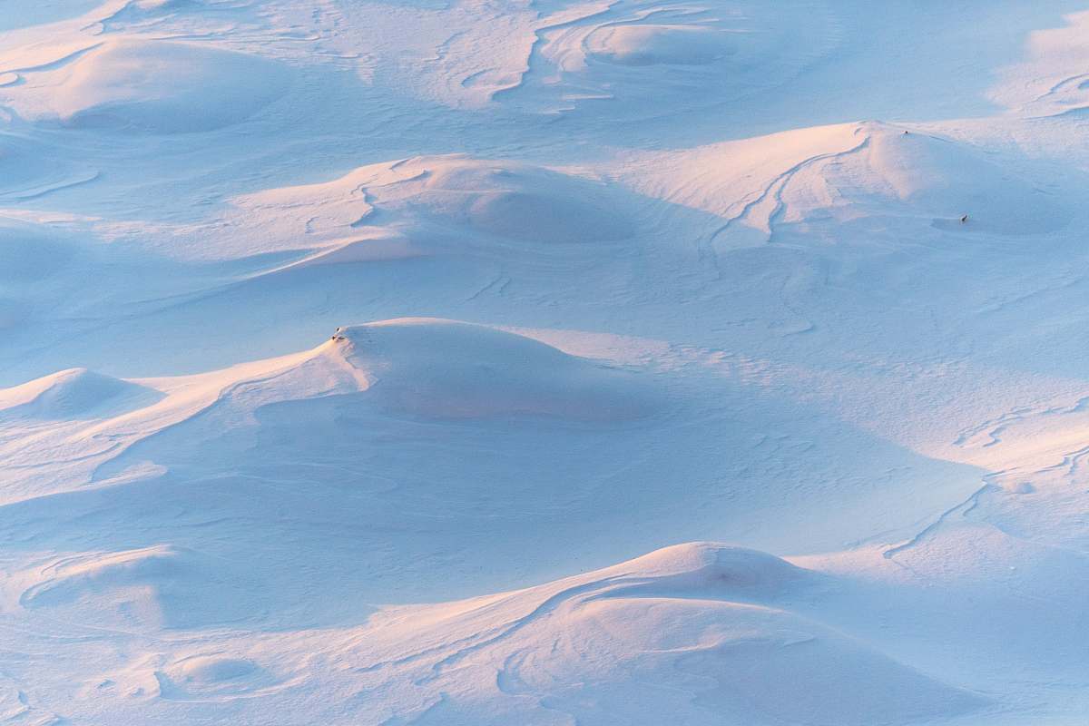 snow snow field during daytime winter