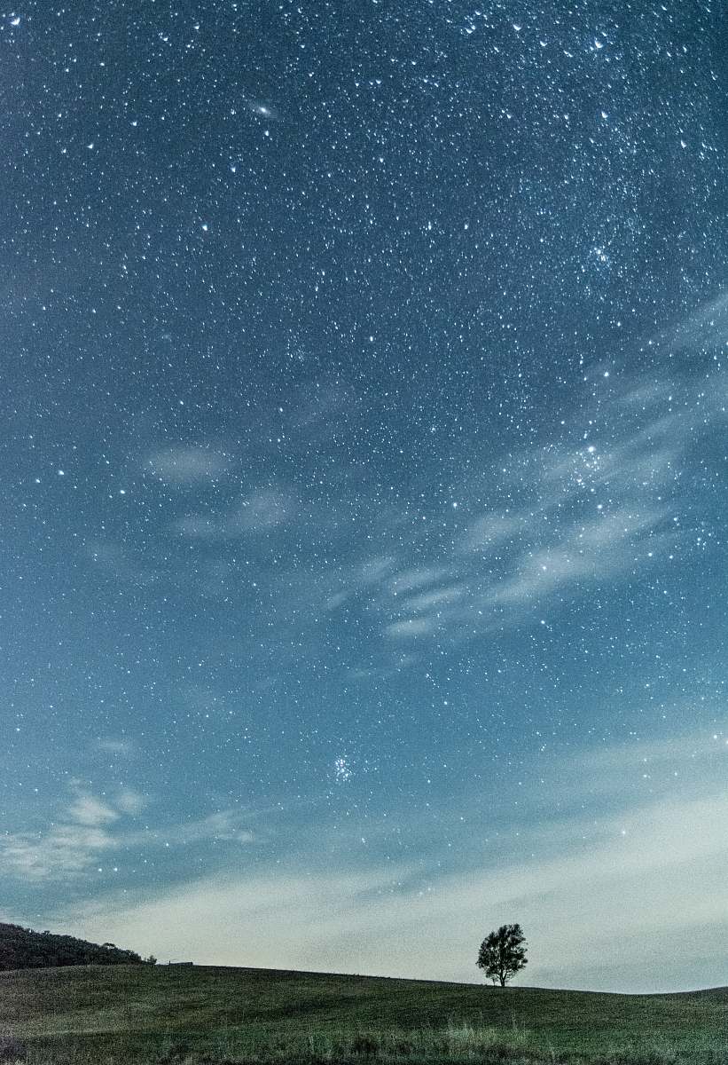 nature stars at night over trees and mountain outdoors