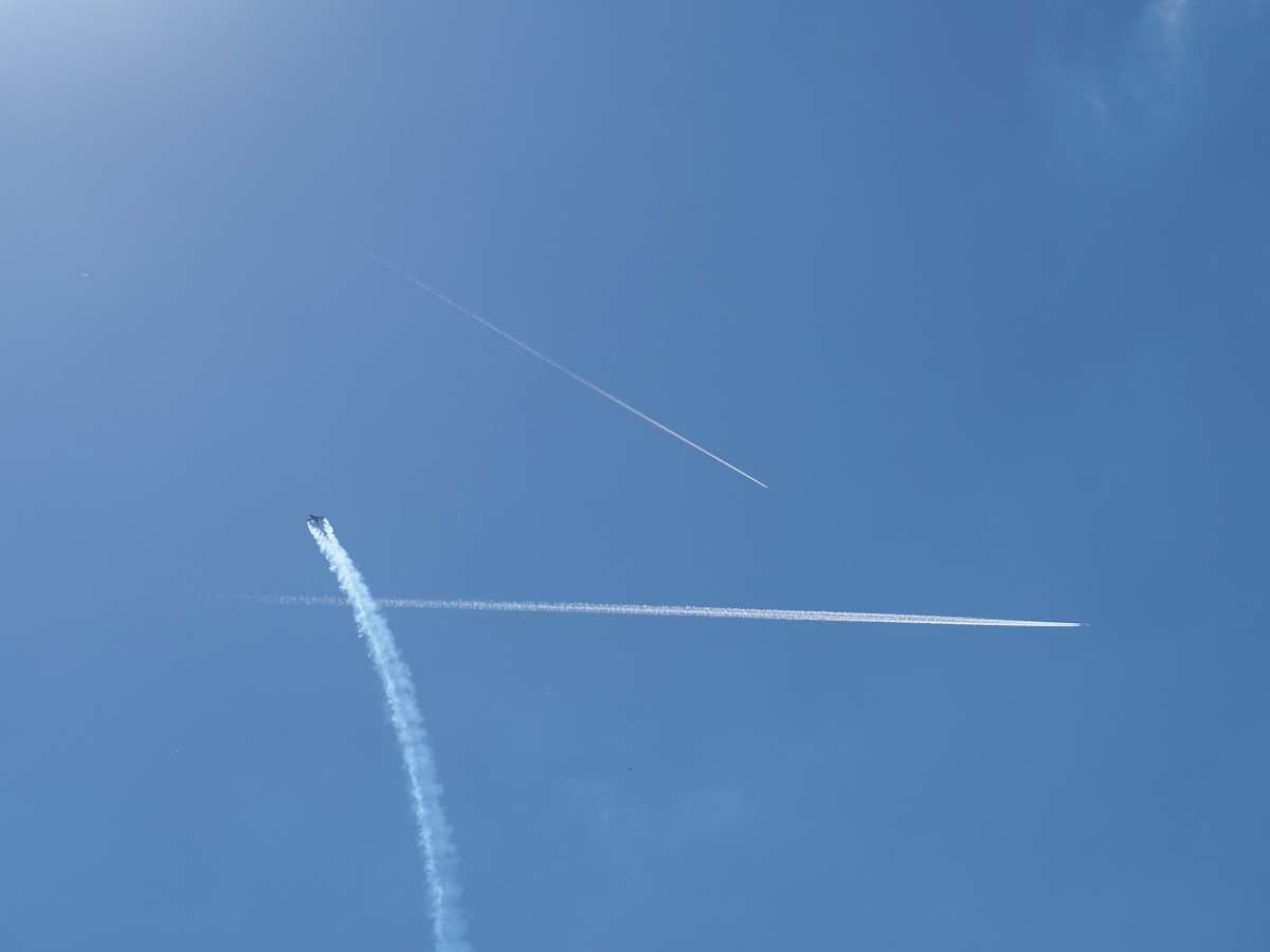 flight three contrails at daytime animal