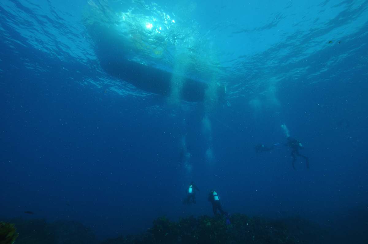 diving three divers dived on water person