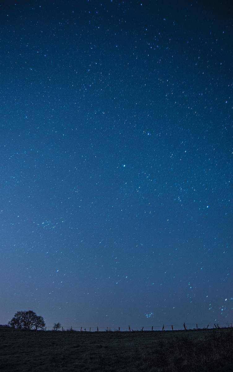 galaxy tree under blue sky night