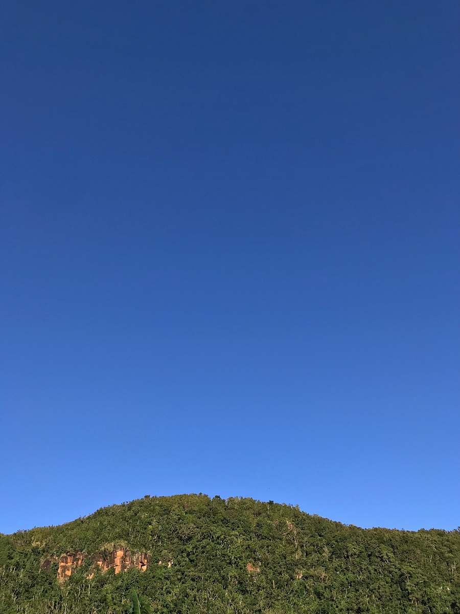 nature trees on mountains under blue sky outdoors