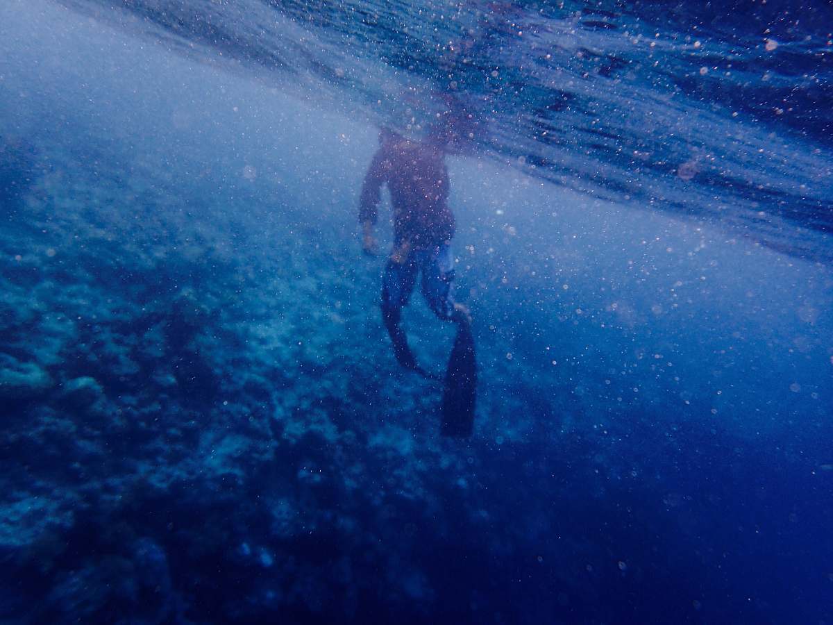 person under water photography of person diving diver