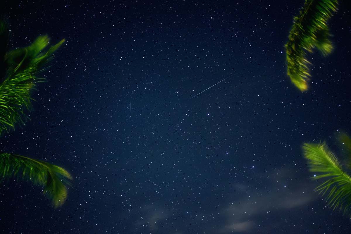nature view of starry sky night