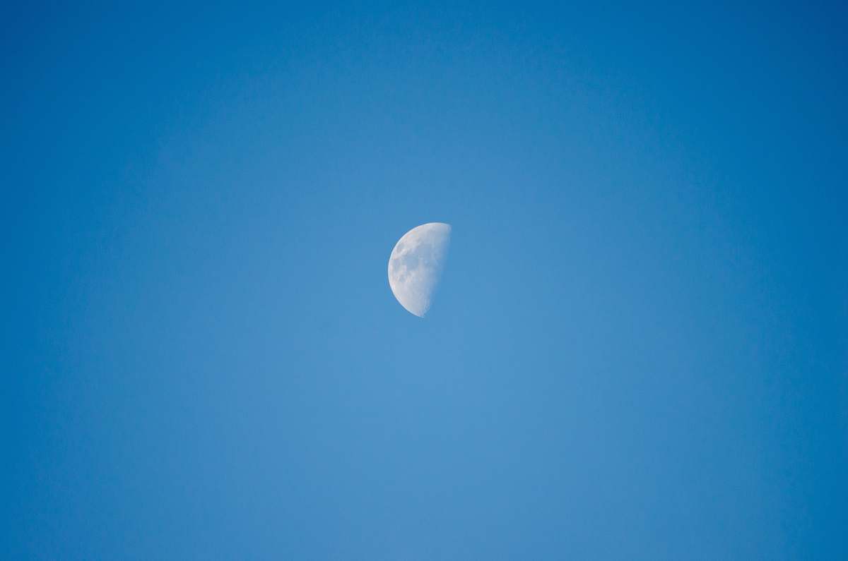 nature white moon outdoors