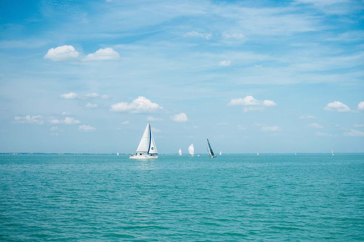 sailboat white sailing boat floating on body of water transportation