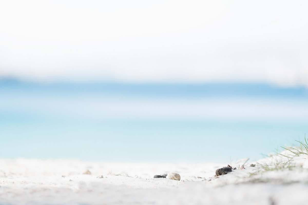 beach white shore under sunny sky sand