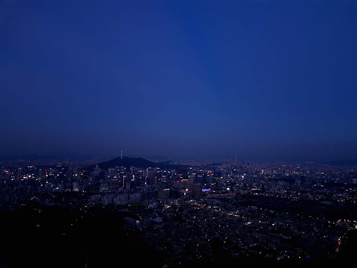 nature city during nightime outdoors