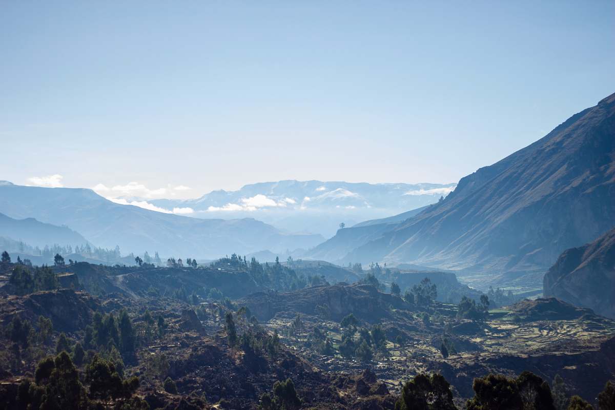 nature aerial photo of forest and mountain outdoors