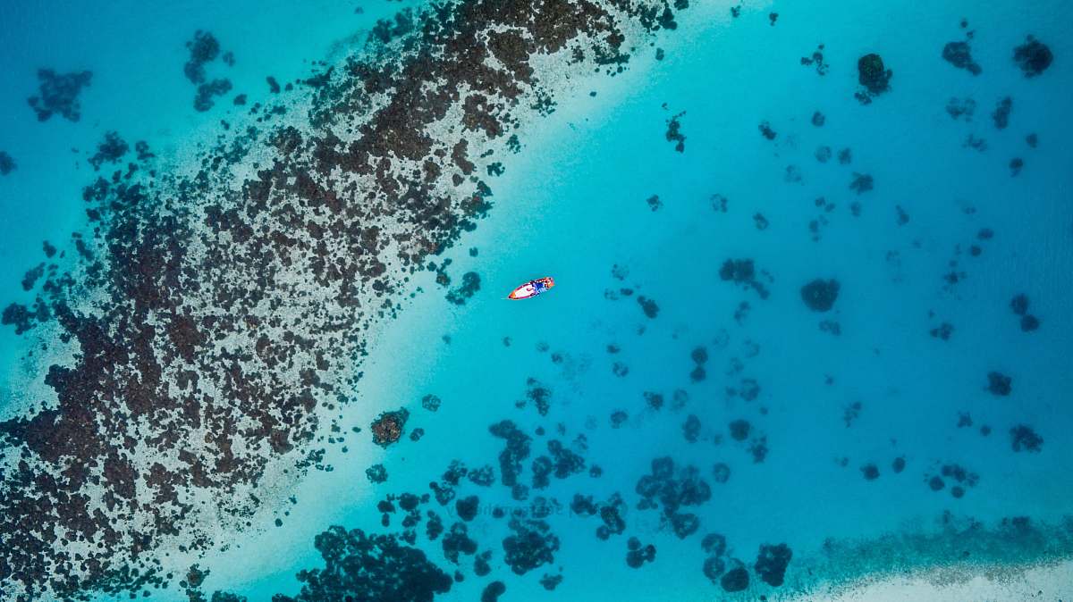 ocean aerial photography of sailing boat on blue sea maldives