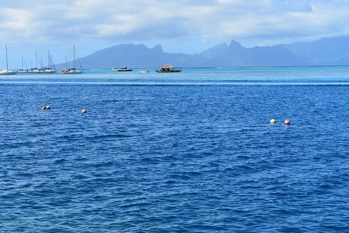 outdoors boats in sea under blue sky land