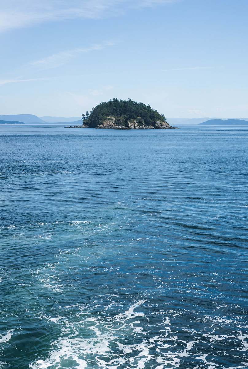 outdoors green islet during daytime land