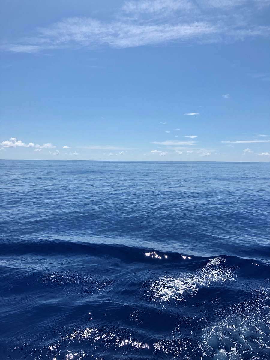 sea sea under clear blue sky during daytime outdoors