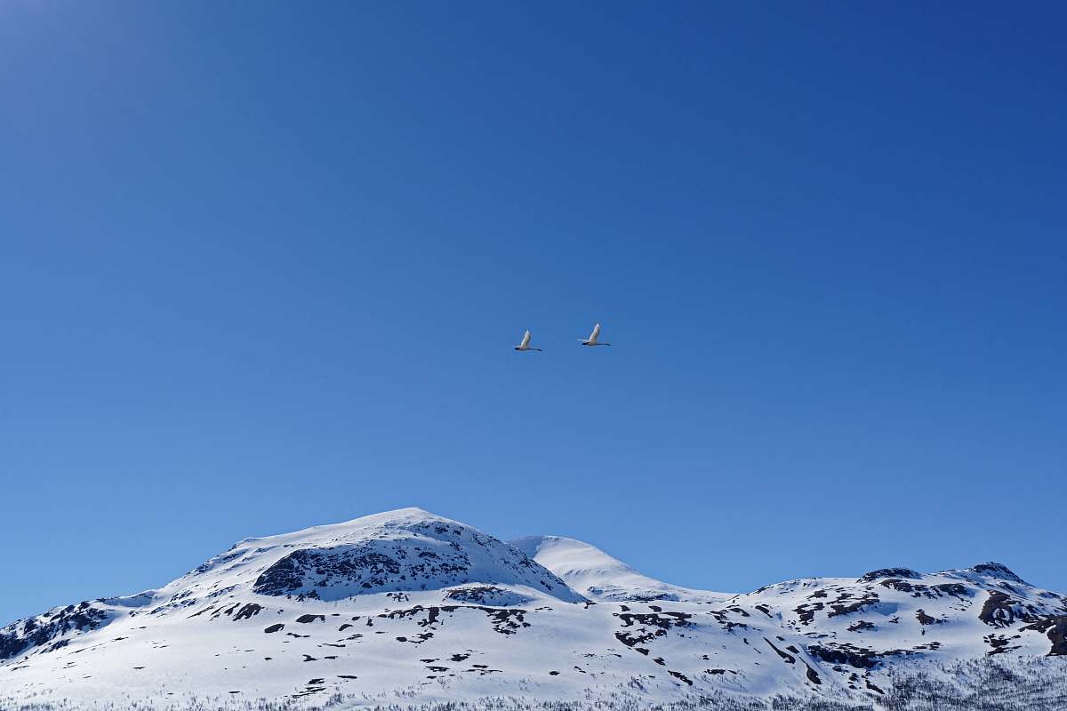 adventure snow-capped mountain during daytime leisure activities
