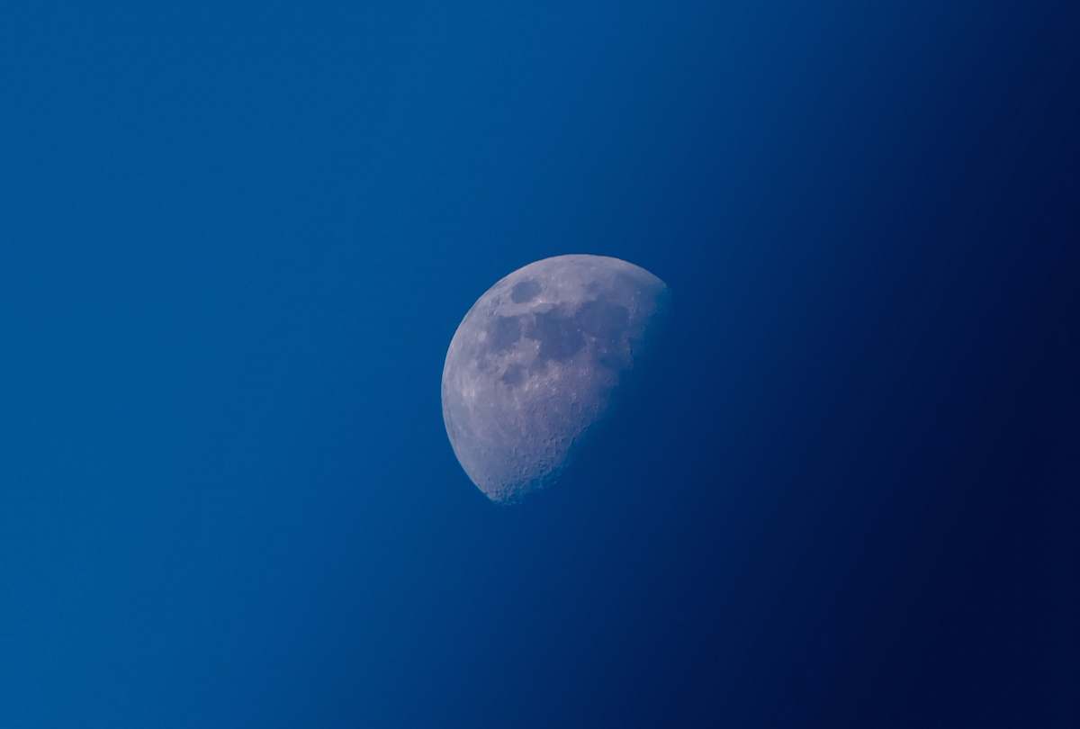 moon photo of half-moon space
