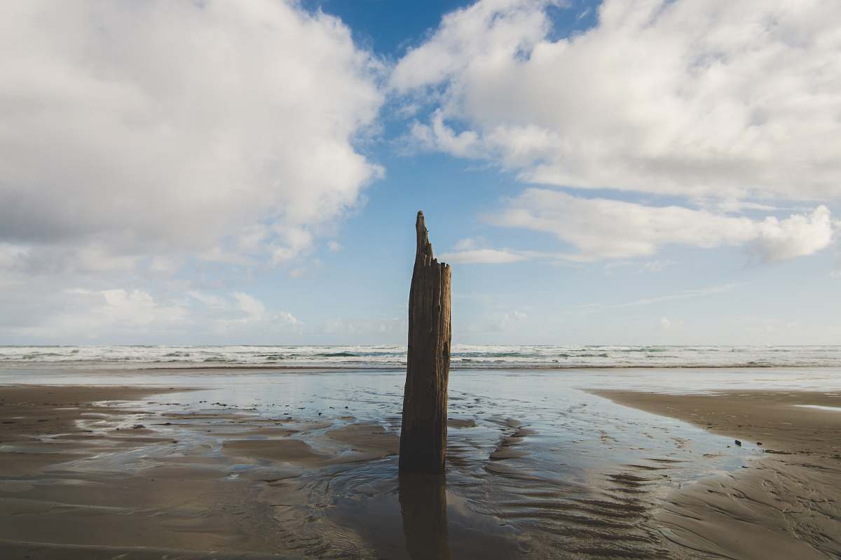 beach brown tree log standing on gray sand under cloudy sky sea