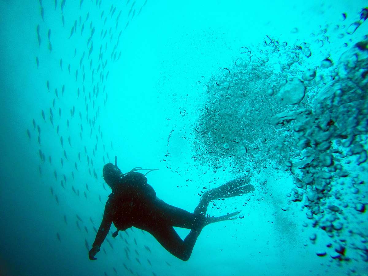water black diver photo diving