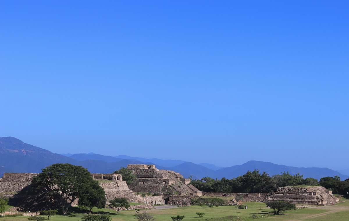 nature houses and trees under blue sky field