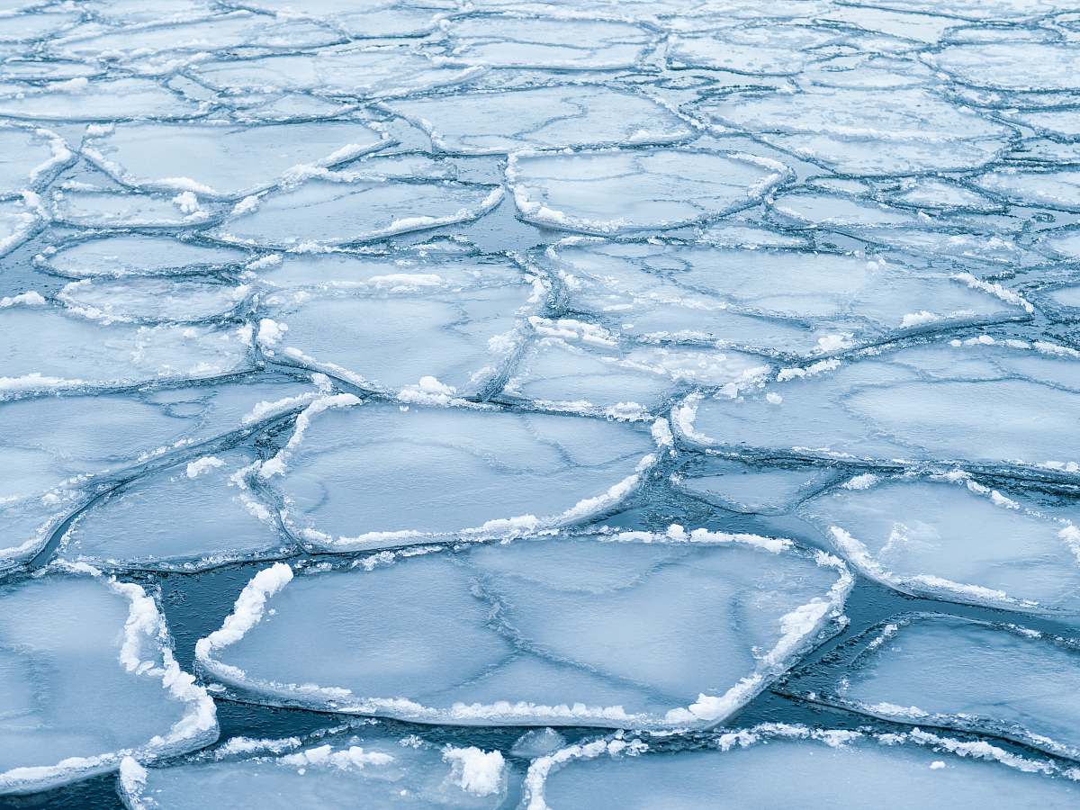 ice white and black floral mattress nature