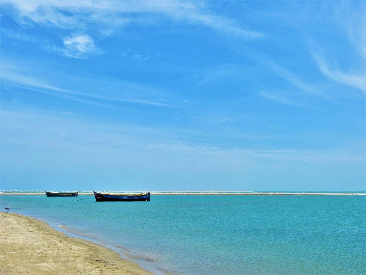 shoreline black boats on sea land