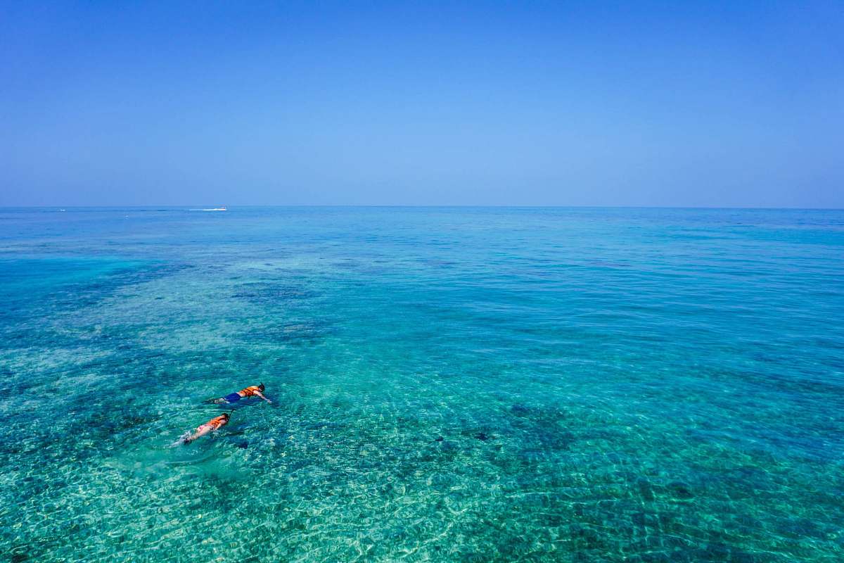 person two person swimming on body of water snorkeling