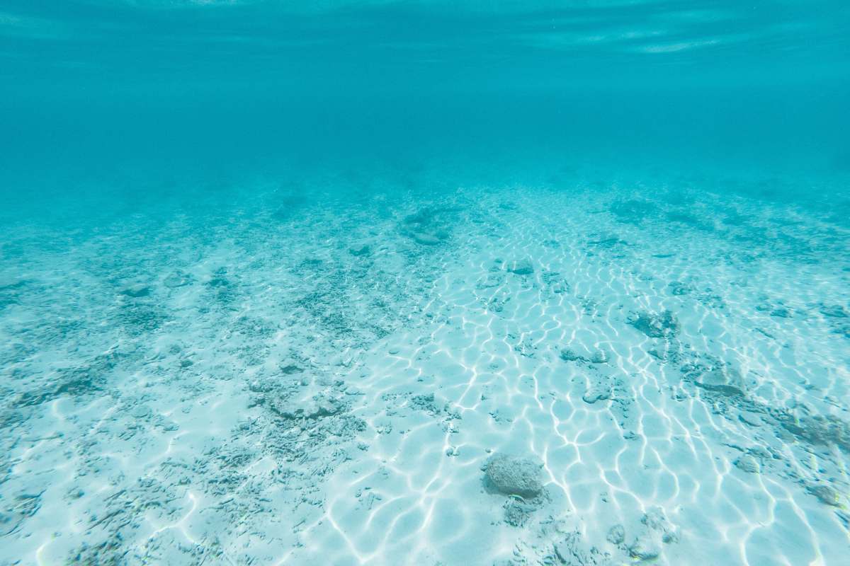 blue underwater photography of clear body of water nature