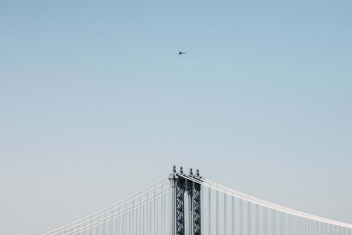 animal bridge at daytime flying