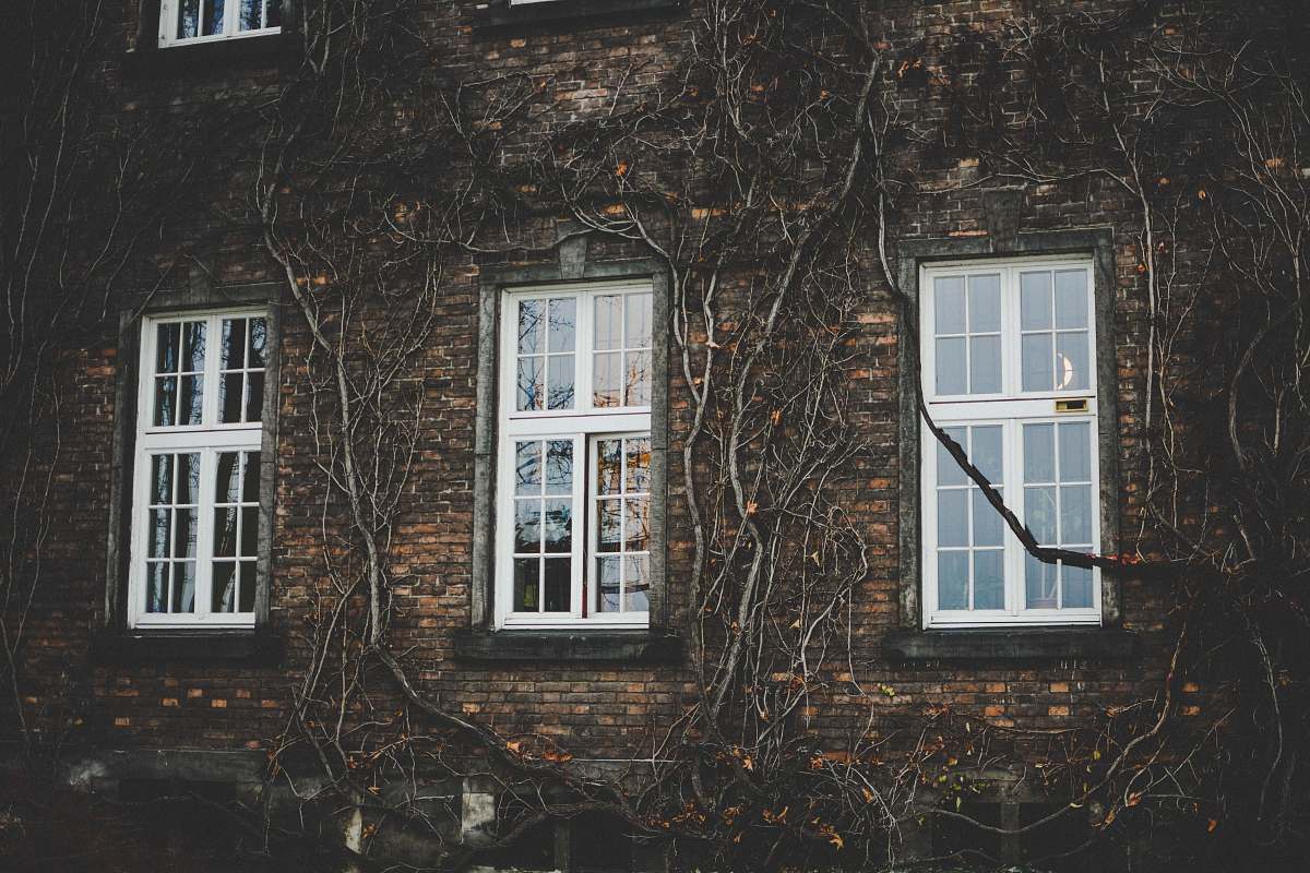 building white wooden framed glass panel windows on brown brick wall building ivy