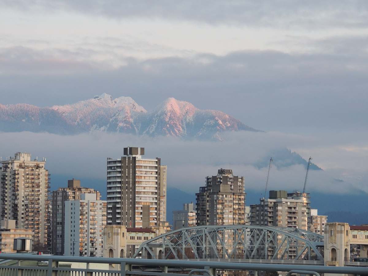 architecture white and gray high rise buildings bridge