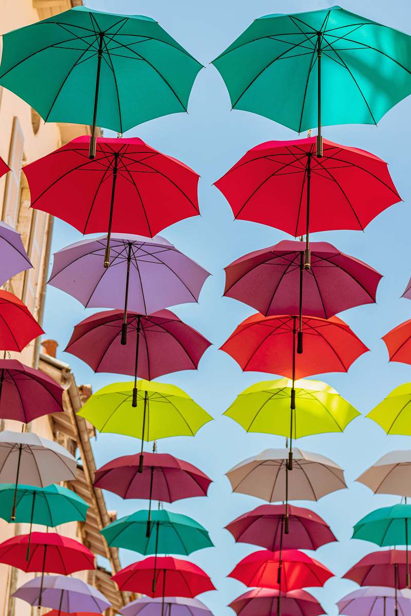umbrella assorted-color umbrellas woodland