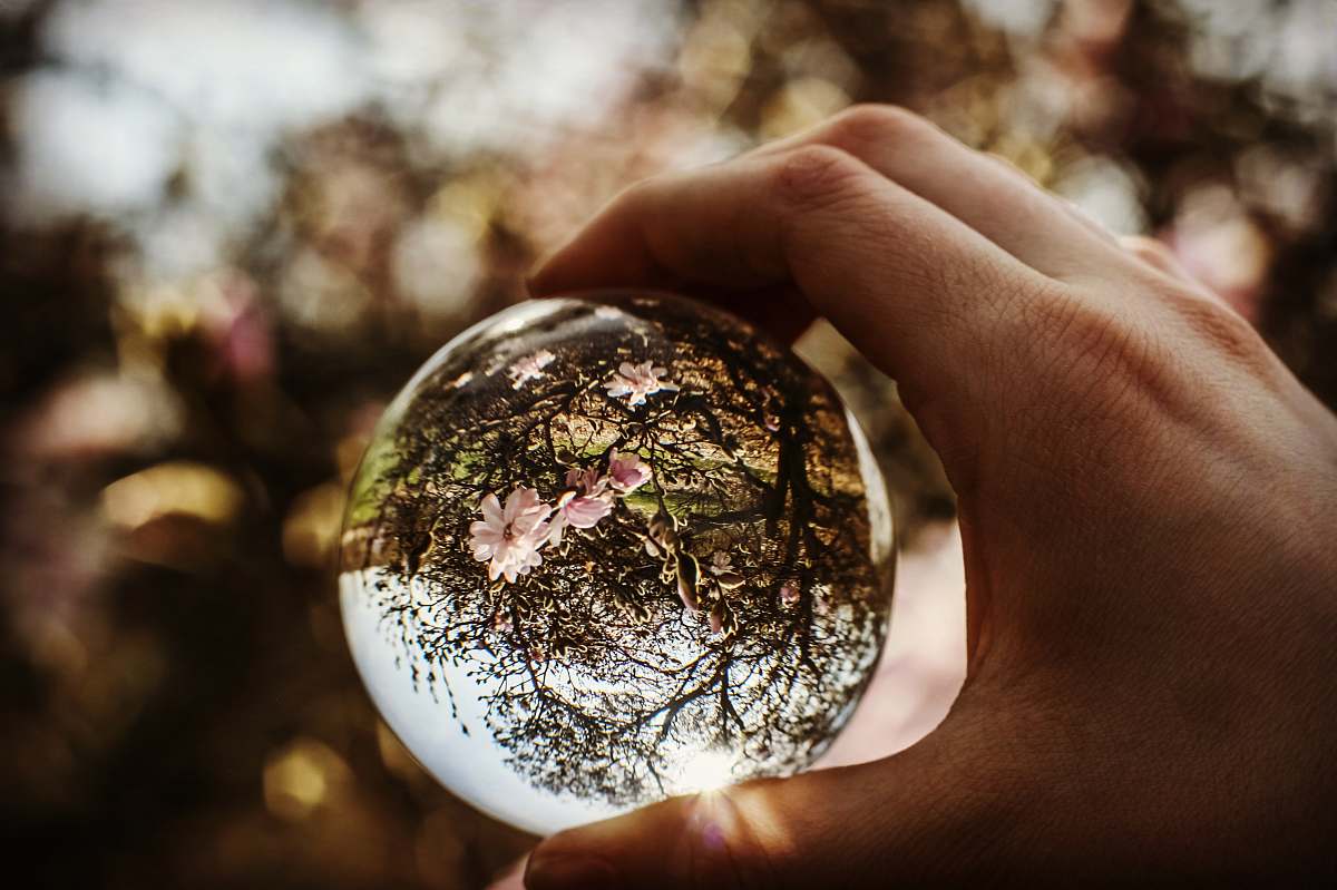 toe person holding ball focus on tree hand