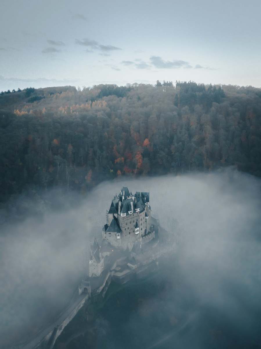 mist gray castle surrounded by fog and trees fog