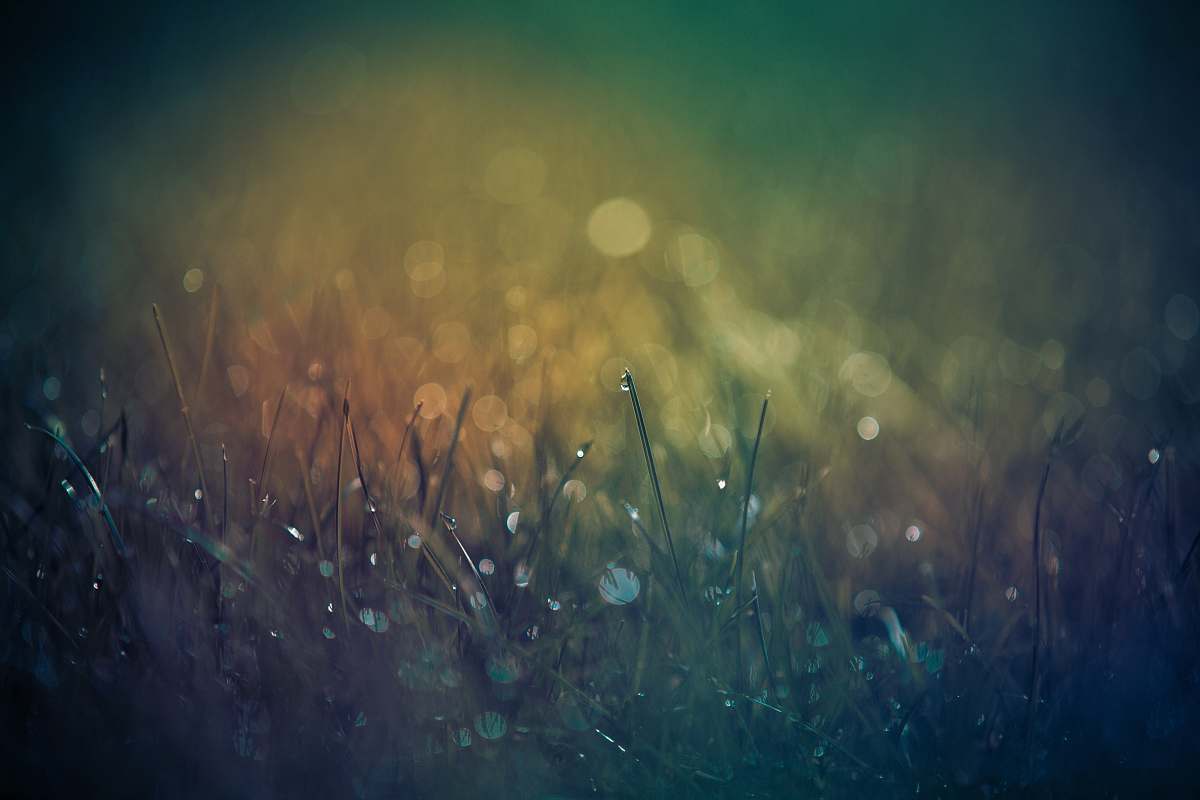 drops bokeh lights fireworks