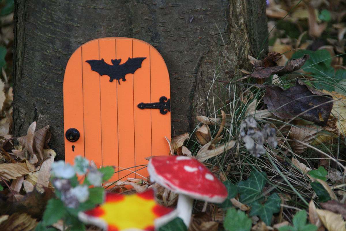 person orange door in tree near mushrooms people