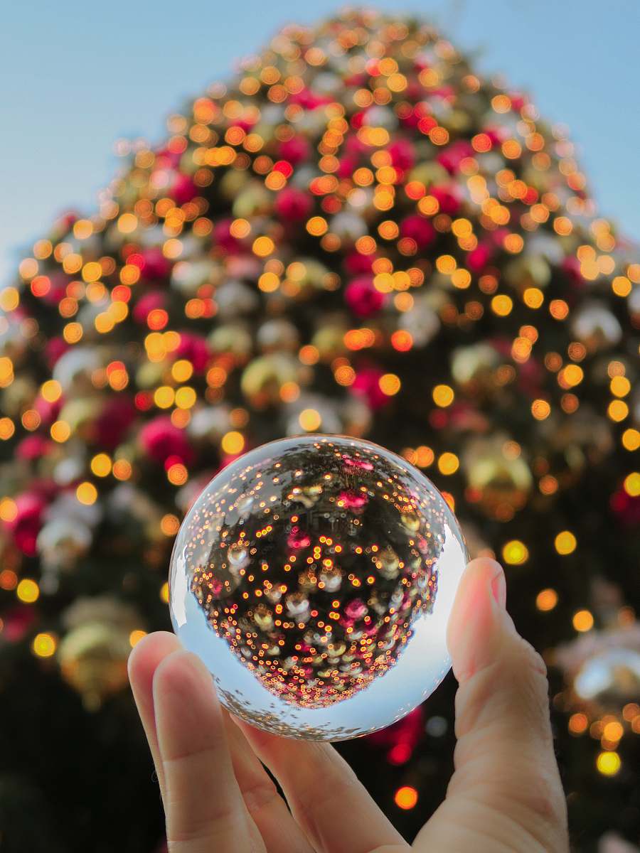 person person holding baoding ball tree