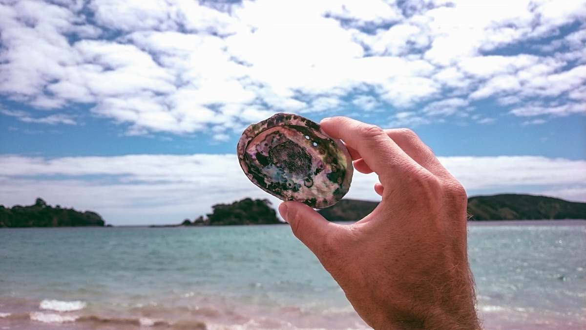 person person holding stone neuseeland