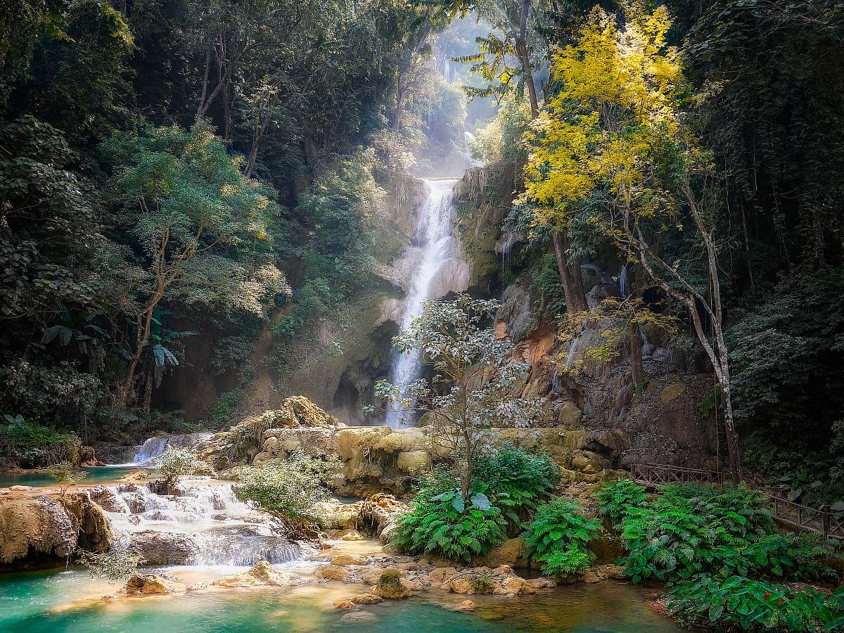 water waterfalls and trees nature