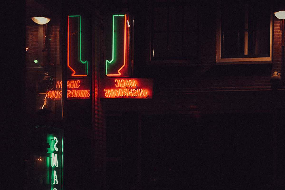 neon  amsterdam