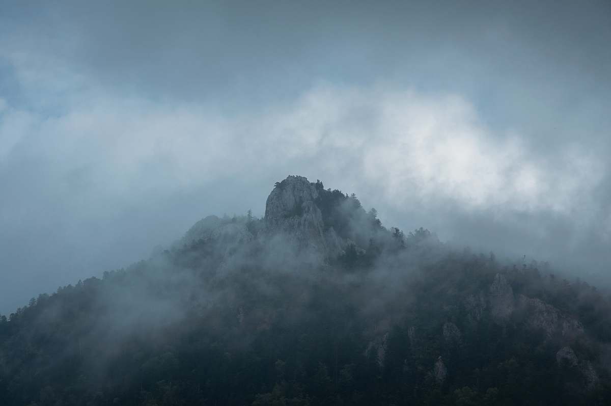 france Aerial photo of tree covered mountain mountain