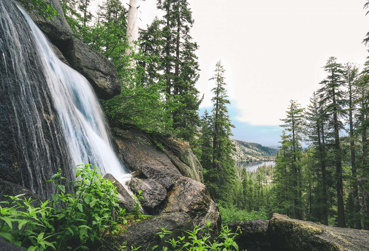 water waterfalls near trees waterfall
